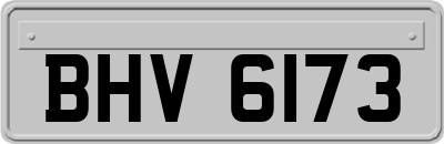 BHV6173