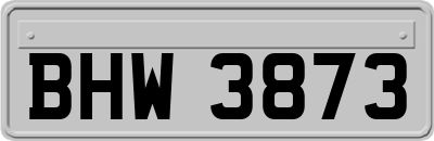 BHW3873