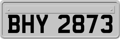 BHY2873