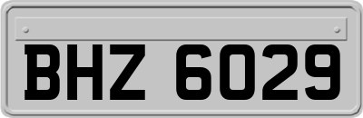 BHZ6029