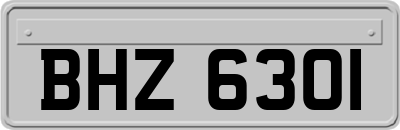 BHZ6301