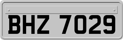 BHZ7029
