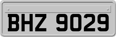 BHZ9029