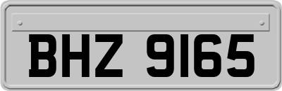 BHZ9165