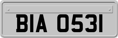 BIA0531
