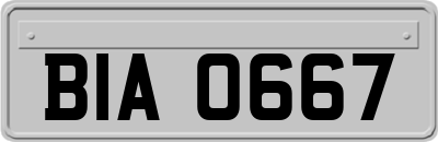 BIA0667
