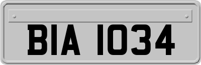 BIA1034