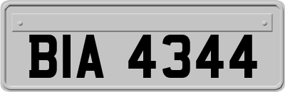 BIA4344