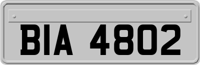 BIA4802