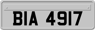 BIA4917