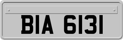BIA6131