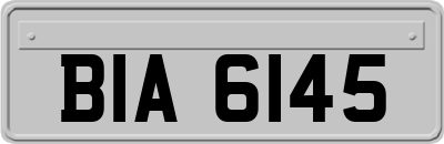 BIA6145