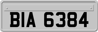 BIA6384
