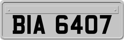 BIA6407