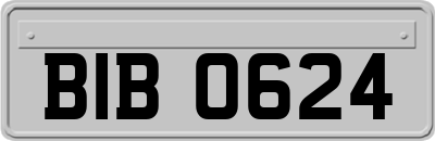 BIB0624