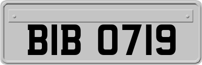 BIB0719