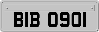 BIB0901