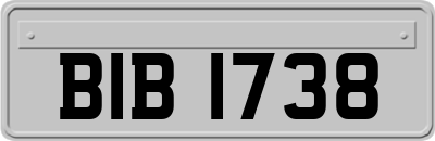 BIB1738