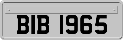 BIB1965