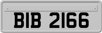 BIB2166