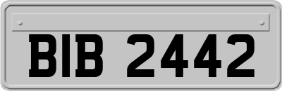 BIB2442