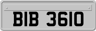 BIB3610