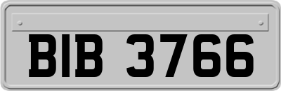 BIB3766