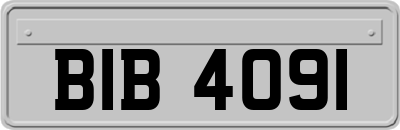 BIB4091