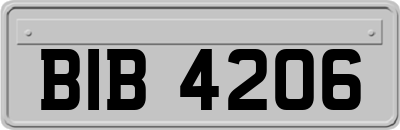 BIB4206