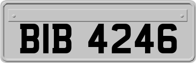 BIB4246