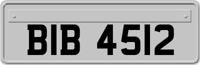 BIB4512