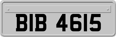 BIB4615
