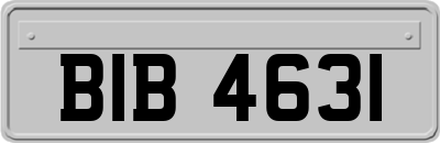 BIB4631