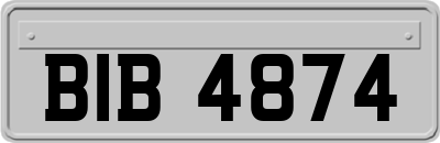 BIB4874