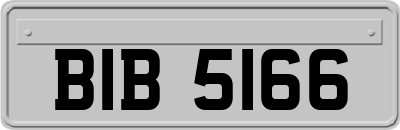BIB5166