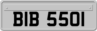 BIB5501