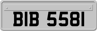 BIB5581