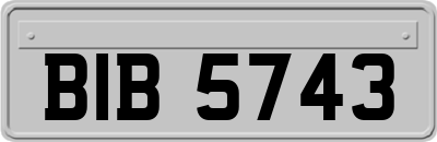 BIB5743