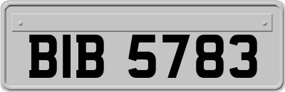 BIB5783