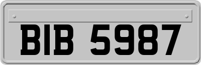 BIB5987