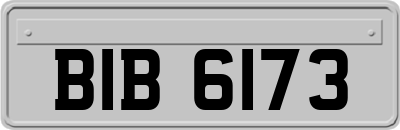 BIB6173