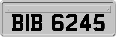BIB6245