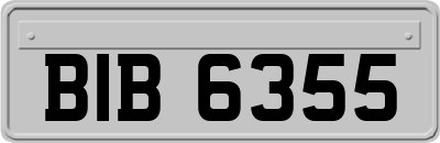 BIB6355
