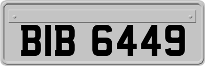 BIB6449