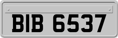 BIB6537