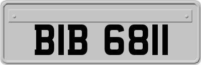 BIB6811