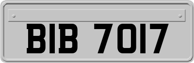 BIB7017