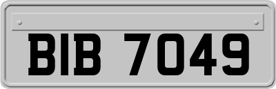 BIB7049