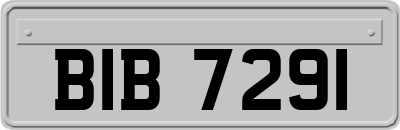 BIB7291