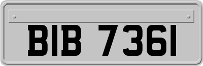 BIB7361